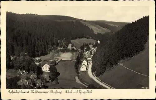 Ak Wildemann Clausthal Zellerfeld im Oberharz, Blick ins Spiegeltal