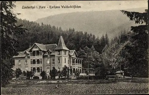 Ak Lautenthal Langelsheim am Harz, Blick auf das Kurhaus Waldschlößchen