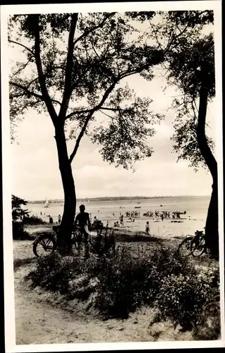 Ak Scharbeutz in Ostholstein, Blick auf den Strand, Bäume