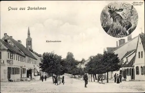 Ak Osjorsk Darkehmen Ostpreußen, Kirchenstraße, Elch, Elentier