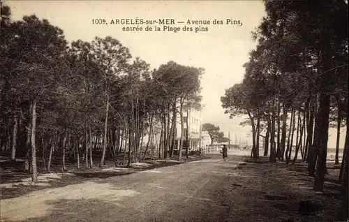 Ak Argelès sur Mer Pyrénées Orientales, Avenue des Pins