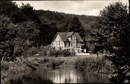 Ak Schieder Schwalenberg in NRW, Hotel Restaurant Nessenberg, Fritz und Kurt Lönneker, Wald, See