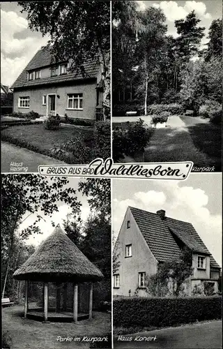 Ak Bad Waldliesborn Lippstadt in Westfalen, Haus Konert, Kurparkpartie, Haus Heising