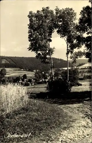 Ak Hellendorf Bad Gottleuba in Sachsen, Wegpartie, Teilansicht