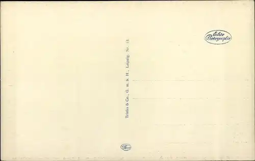 Ak Münster in Westfalen, Alte Giebelhäuser, Rathaus, Stadtweinhaus