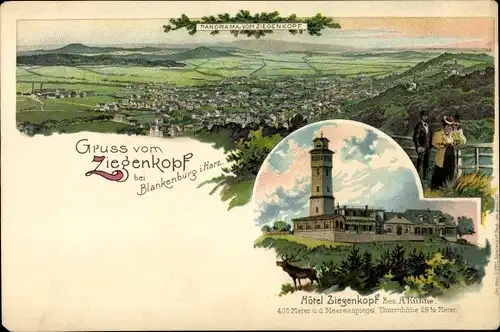 Litho Blankenburg am Harz, Hotel Ziegenkopf, Blick auf den Ort