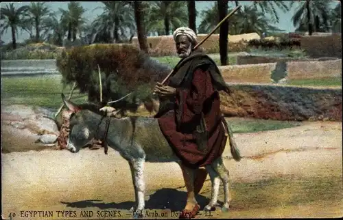 Ak Ägypten, Eygptian Types and Scenes, Old Arab on Donkey