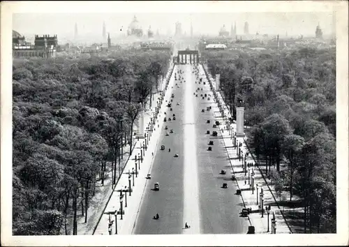 Ak Berlin Tiergarten, Siegesallee, Brandenburger Tor, Stadtansicht