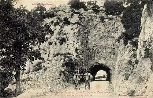 Ak Enveitg Pyrénées Orientales, Le Tunnel de la Route, Rinder am Tunnel