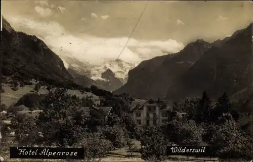 Ak Wilderswyl Wilderswil Kanton Bern Schweiz, Hotel Alpenrose