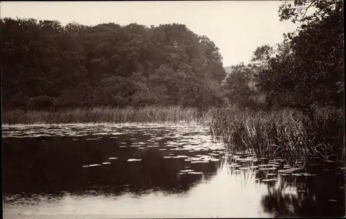 Foto Ak Eutin in Ostholstein, Ukleisee, 1927