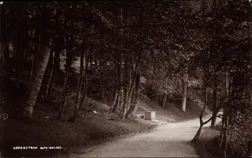 Foto Ak Eutin in Ostholstein, Opferstein am Uklei, 1927