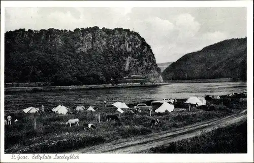 Ak Sankt Goar am Rhein, Zeltplatz Loreleyblick