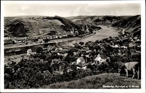 Ak Niederfell Gondorf an der Mosel, Gesamtansicht