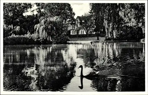 Ak Bad Wildungen in Nordhessen, Kur-Pension Prützel, Partie am Teich