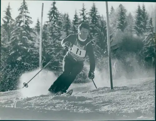 Foto Wintersport, Skifahrer bei der Abfahrt, Slalom, Startnummer 11