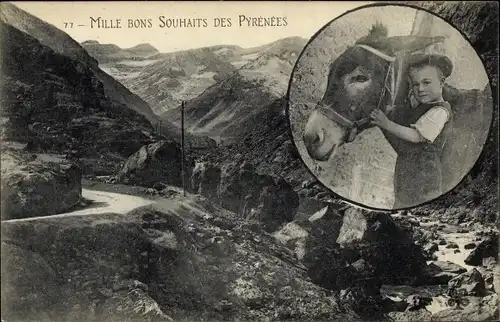 Ak Hautes-Pyrénées, Mille bons Souhaits des Pyrenees, Junge mit Esel