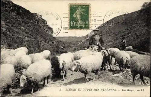 Ak Pyrénées Atlantiques, Scenes et Types des Pyrenees, Un Berger