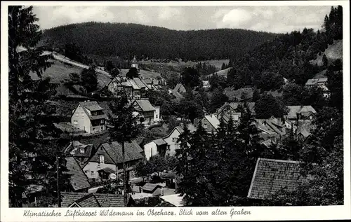 Ak Wildemann Clausthal Zellerfeld im Oberharz, Blick vom alten Graben