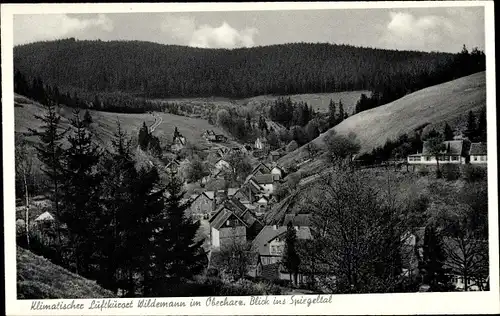 Ak Wildemann Clausthal Zellerfeld im Oberharz, Spiegeltal, Gebäude, Wald