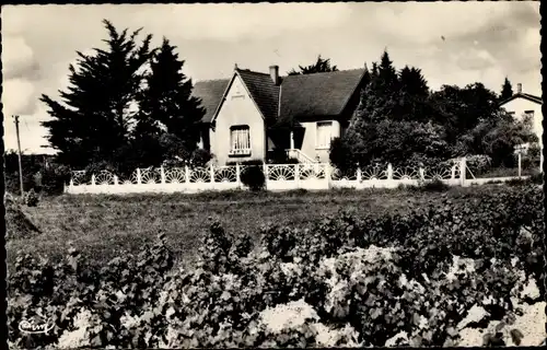 Ak Faye d’Anjou Maine et Loire, Les Buissonnets