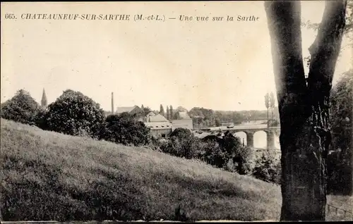 Ak Chateauneuf sur Sarthe Maine-et-Loire, Une vue sur la Sarthe