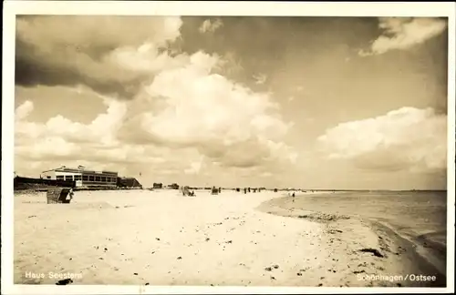 Ak Schönhagen Brodersby an der Ostsee, Haus Seestern, Partie am Strand