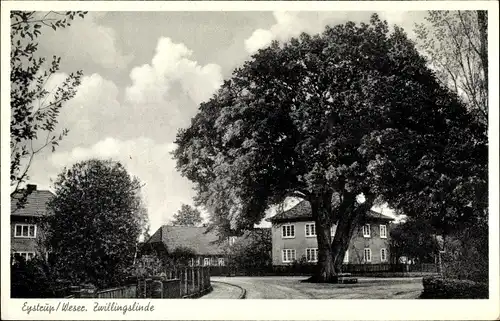 Ak Eystrup in Niedersachsen, Zwillingslinde