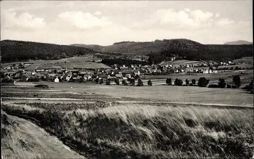 Ak Wolfshagen Langelsheim am Harz, Panorama