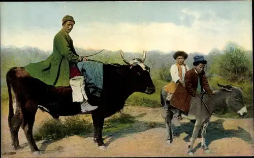 Ak Russische Typen aus Zentralasien, Esel, Rind