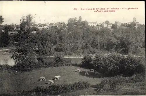 Ak Sauveterre de Béarn Pyrénées Atlantiques, Vue generale