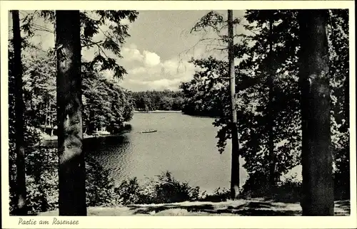 Ak Raisdorf Schwentinental Schleswig Holstein, Partie am Rosensee