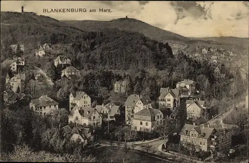 Ak Blankenburg am Harz, Luftbild vom Ort