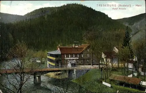 Ak Treseburg Thale im Harz, Blick auf das Hotel Forelle, Berge, Wald, Nr. 41083