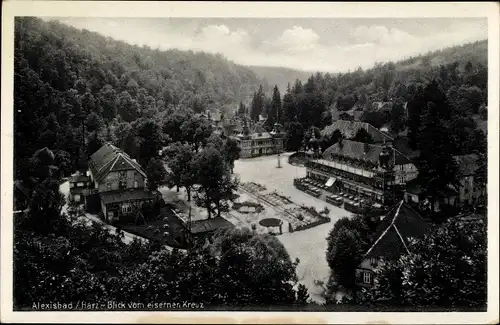 Ak Alexisbad Harzgerode am Harz, Blick vom eisernen Kreuz