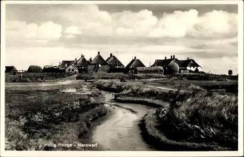 Ak Hallig Hooge in Nordfriesland, Reetdachhäuser, Hanswarf