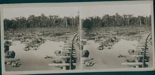 Foto Eisenbahngleise, Waldpartie, Sumpflandschaft, Weltreise 1914
