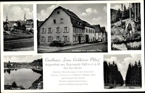 Ak Argenthal im Hunsrück, Argenthal, Rotwild, Waldsee, Waldeingang, Gasthaus Zum Goldenen Pflug