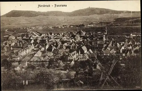 Ak Hersbruck im Nürnberger Land Bayern, Panorama