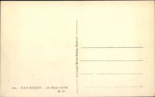 Ak Pyrénées Atlantiques, Pays Basque, Les Boeufs habilles