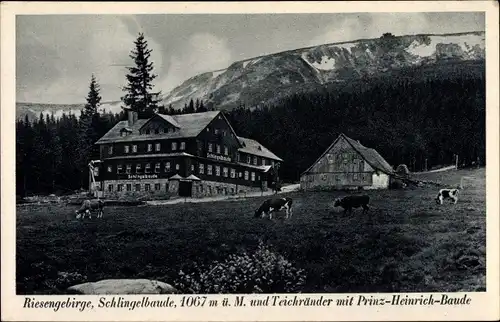 Ak Karpacz Krummhübel Riesengebirge Schlesien, Schlingelbaude, Schronisko na Starej Polanie