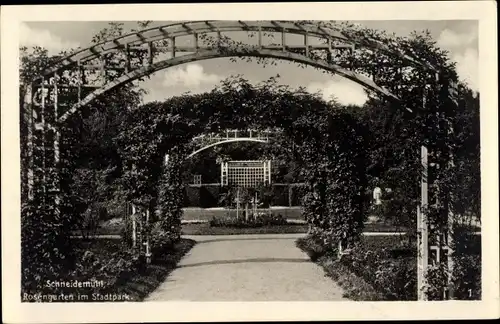 Ak Piła Schneidemühl Pommern, Rosengarten im Stadtpark