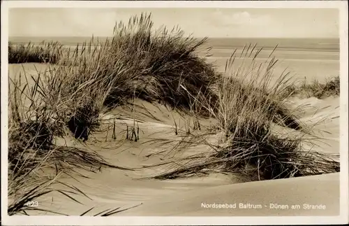 Ak Insel Baltrum in Ostfriesland, Dünen am Strand