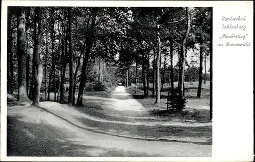 Ak Nordseebad Sahlenburg Cuxhaven, Blick in den Menkestieg im Wernerwald