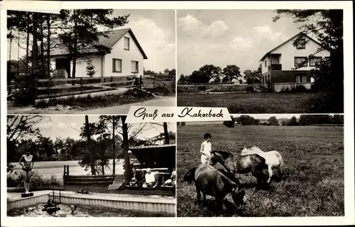 Ak Kakerbeck Ahlerstedt Kreis Stade in Niedersachsen, Pension Gabert, Schwimmbecken, Pferde