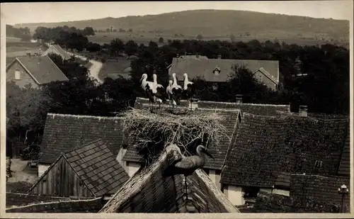 Foto Ak Dossenheim Bas Rhin, Blick auf Häuser, Storchennest auf Dach, Störche