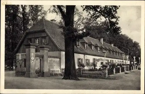 Ak Moritzburg in Sachsen, Jagdschloss, Die Kurfürstliche Waldschänke, Terrasse