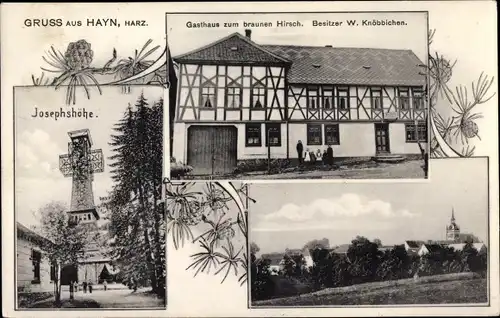 Ak Hayn im Harz Südharz, Josephshöhe, Gasthaus zum braunen Hirsch, Inh. W. Knöbbichen