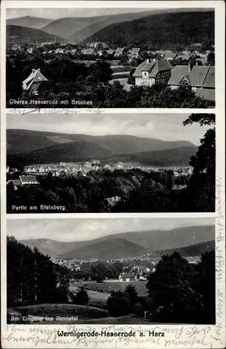 Ak Hasserode Wernigerode am Harz, Partie am Steinberg, Rennetal