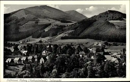 Ak Olsberg Hochsauerland, Teilansicht des Ortes, Wald